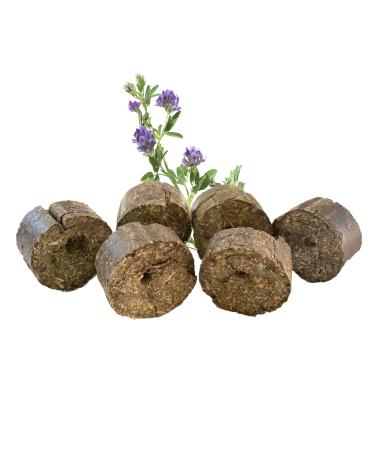 Lax meadow products lucerne blocks with horses for horses i refill pack for jumping ropes I healthy roughage snacks from 100% lucerne i supplementary feed i horse mecker -free i 12.5kg 12.5 kg (refill pack)