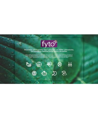 ZENFIT FYTO - Daily Mood and Energy Support Well-Being with St. John's Wort Rosemary B Vitamins - Natural Food Supplement for Optimal Balance and Well-Being 30 Tablets - Buy Online on GoSupps.com