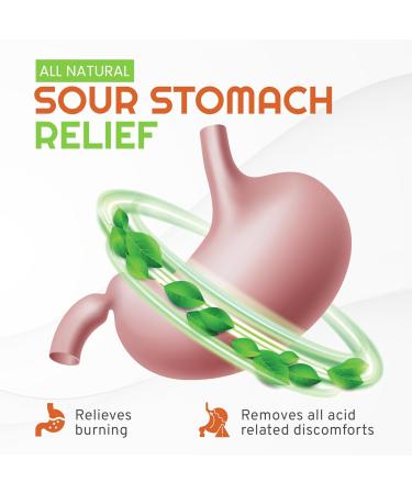 Acid Zap Liquid Acid Reducer GERD Relief (8 Fl Oz) - Buy Online on GoSupps.com