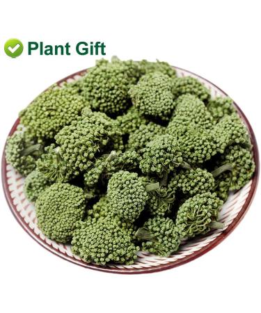 Plant Gift Panax Notoginseng Flower 60G/2.12oz Tienchi Notoginseng Tea Tienchi Ginseng - Buy Online on GoSupps.com