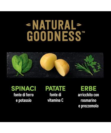 Cesar Natural Goodness Wet Food for Dogs with Lamb and Vegetable Flavor 6 cans of 400 g Total 2.4 kg - Buy Online on GoSupps.com