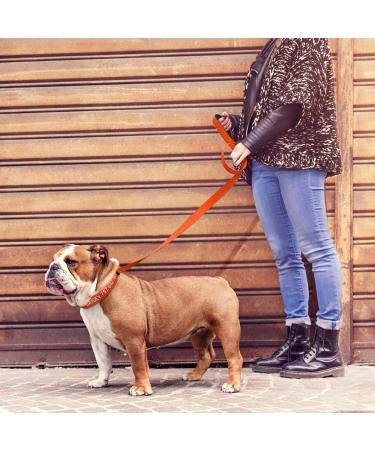 Tagme Reflective Dog Collar & Leash Set - Personalized 1.5m Double-Sided for Large Dogs - Orange (1 Pack) - Buy Online on GoSupps.com