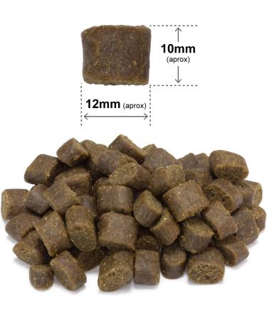 Arquivet Fresh Ocean Fish - 10 Kg - Complete Food for Dogs - Fresh Fish and Meat - Buy Online on GoSupps.com