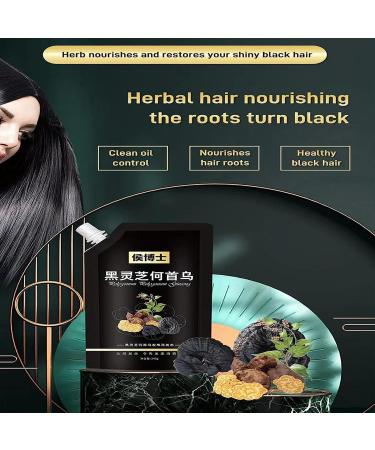  PUCHEN Multiflorum - 240ml He Shou Wu Shampoo Grey Reverse Shampoo | Shampoo for Dark Hair for Natural Deep Cleansing Reverse Grey Hair for - Buy Online on GoSupps.com