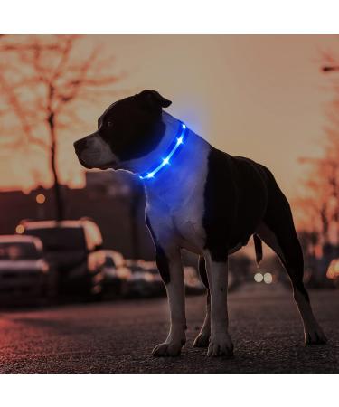 Masbrill Luminous LED Dog Collar - Waterproof & Adjustable Safety Band with 3 Flashing Lights for Small to Large Dogs (Blue XS 25-35cm) - Buy Online on GoSupps.com