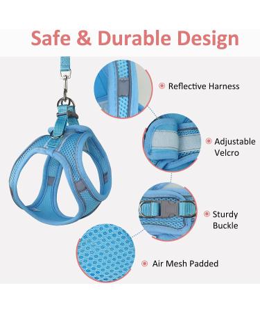 Reflective Mesh Cat Harness and Leash Set - Escape Proof Kitten and Puppy Vest - Comfort Fit and Lightweight - Easy Control - Small Blue - Buy Online on GoSupps.com