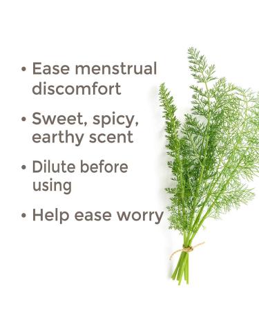Buy Plant Therapy Sweet Fennel Essential Oil 30 mL - 100% Pure Undiluted Therapeutic Grade - International Shipping Available - Buy Online on GoSupps.com