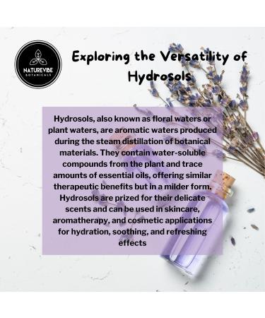 Naturevibe Botanicals Lavender Water 32 Ounces | 100% Pure and Natural | Great for Skin Care and Hair Care - Buy Online on GoSupps.com