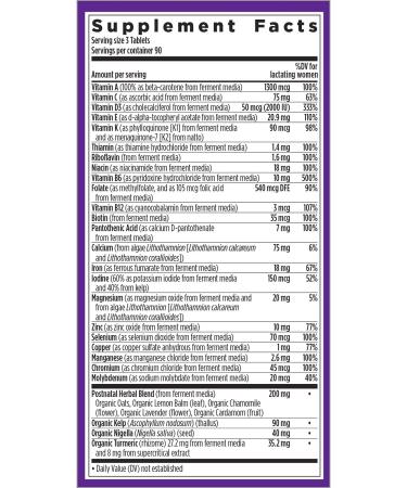 New Chapter Perfect Postnatal Multivitamin | 270 Vegetarian Whole-Food Tablets - Buy Online on GoSupps.com
