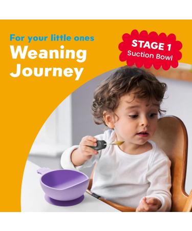 Nana's Manners Stage 1 Suction Bowl Set for Babies Aged 4 Months Plus - Weaning Bowl for Infant Kids - Purple - Buy Online on GoSupps.com
