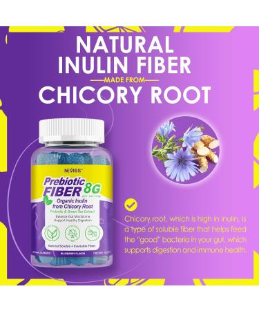 8G Fiber Gummies with Probiotics Fiber Supplement with 25 Billion CFU Probiotics Blend Inulin Green Tea Extract Support Digestive Health Regularity No Sugar Added Daily Gummy for Adults 120Cts 60 Count (Pack of 2) - Buy Online on GoSupps.com