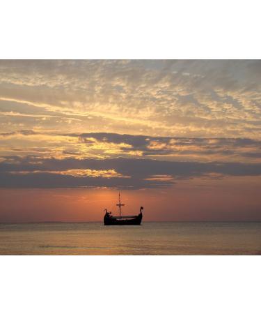 C&T Ragnar k Coffee roasted coffee 1000 g whole beans drinkable as espresso and caf crema powerful spicy and aromatic 100 natural with caffeine 1 kg 1er Pack - Buy Online on GoSupps.com