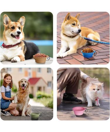 Petbonus Foldable Dog Bowl Set - 2 Portable silicone Water & Food Bowls for Dogs - Leak-Proof Travel Bowls with Carabiners (600ml Violet & Pink) - Buy Online on GoSupps.com