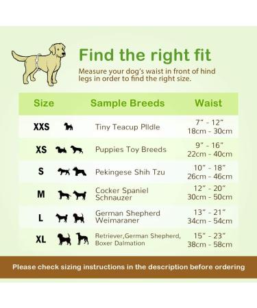 Soft Disposable Dog Diapers for Bitches | 12 Pack | High-Suction Incontinence & Heat Solution | XXS Size - Buy Online on GoSupps.com