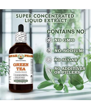 Green Tea (Camellia Sinensis) Dry Leaf Glycerite Made in Hawaii All Natural Vegan Lab Tested Alcohol-Free Liquid Extract - 2 fl.oz 2 Fl Oz (Pack of 1) - Buy Online on GoSupps.com