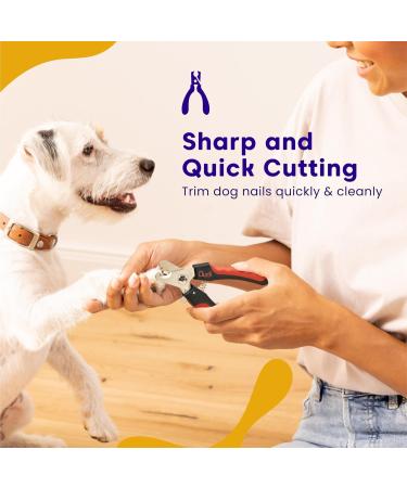 Dudi Pet Claw Scissors for Dogs Cats & Small Animals - Safety Nail Scissors Set with Grinder - Large Black/Red - Buy Online on GoSupps.com