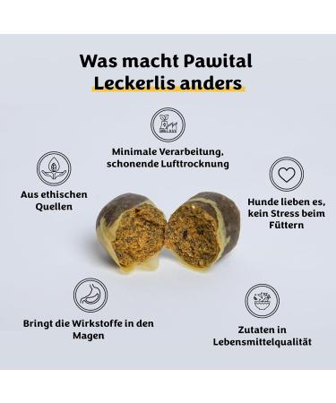 Pawital Belly Champ - Natural Dog Treats with Wild Salmon | Probiotics for Digestive Health & Immunity | 30 Premium Snacks - Buy Online on GoSupps.com