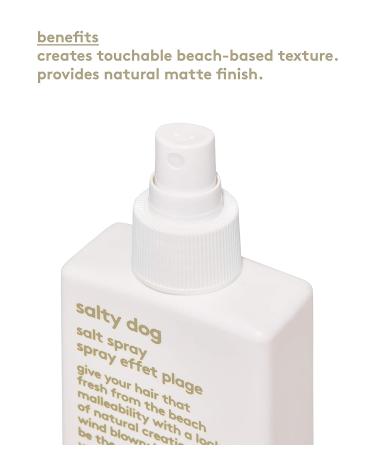 EVO Salty Dog Salt Spray - Beach Textured Hair Volume Spray - Natural Matte Finish 6.8 Fl Oz - Buy Online on GoSupps.com