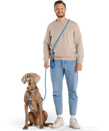 Hands-Free Dog Leash - 2m Adjustable Belly Belt for Running & Jogging | 3-in-1 Training & Hunting Leash for All Dog Sizes - Touline Petrol - Buy Online on GoSupps.com