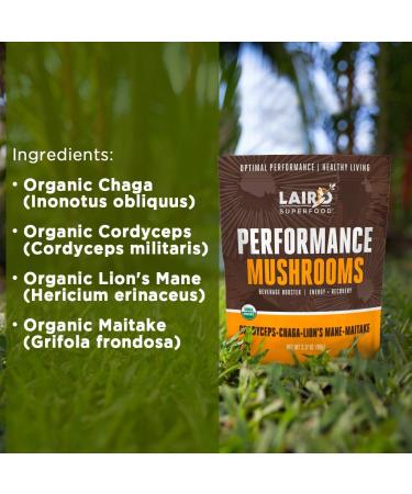 Laird Superfood Organic Performance Mushroom Blend - Energy & Focus Booster 3.17 oz (Pack of 2) - Buy Online on GoSupps.com