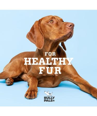 BULLY PALS - 12 inch Jumbo Bully Sticks - av 75 gr Each! - 5 Pack - Long Lasting All Natural Single Ingredient Dehydrated Dog Treats and Dental Chews for Big Dogs and Aggressive chewers 75 g (Pack of 5) - Buy Online on GoSupps.com