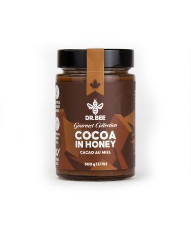 Cocoa in Honey - Dr. Bee Gourmet Collection Organic Cocoa Pure Canadian Honey (500g)