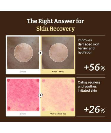 Dr. Reju-All Advanced PDRN Rejuvenating Cream 99% Pure Salmon DNA PDRN Face Moisturizer Optimal 1200ppm Concentration for Visible Results Korean Anti-Aging Skin Care Face Cream - 0.7 Fl Oz - Buy Online on GoSupps.com