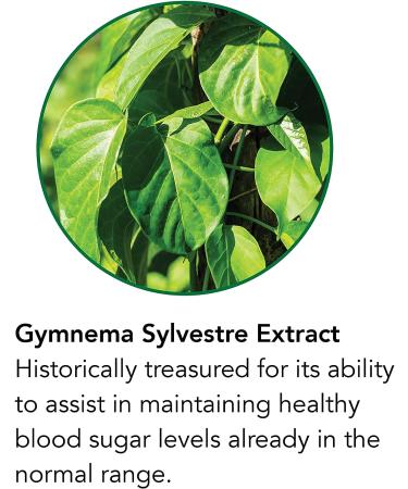 Botanic Choice Gymnema Sylvestre Liquid Extract - Natural Glucose Metabolism Support - Ayurvedic Herb - 1 oz - Buy Online on GoSupps.com