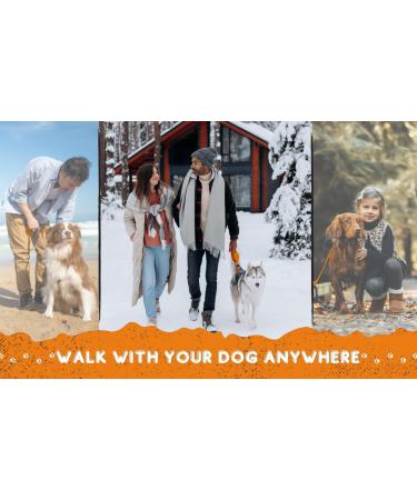 Loutep 100ft Dog Training Lead - Durable Nylon Long Line with Padded Handle & Heavy-Duty Hook - Perfect for Obedience Training Red & 15M Orange Options - Buy Online on GoSupps.com
