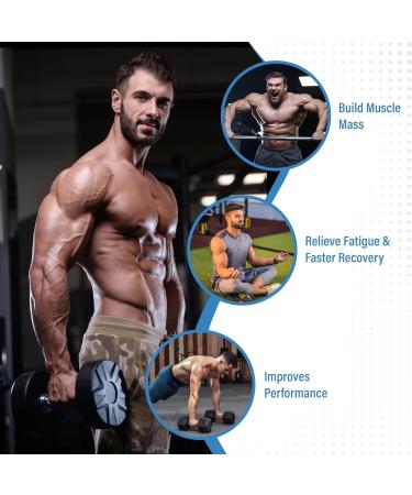 Creatine Monohydrate Gummies - 5g per Serving Sugar Free Vegan Blueberry Flavor - Boost Strength & Build Muscle - 120 Count - Buy Online on GoSupps.com