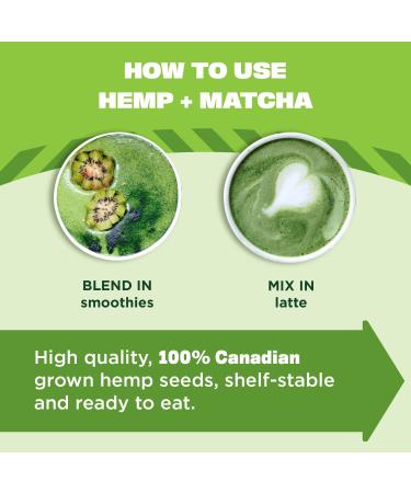 Manitoba Harvest Organic Hemp & Matcha Powder 5.5 oz | Energy Protein Blend with 6g Protein & 2g Fiber | Matcha Powder for Smoothies | Vegan & Non-GMO | 56g Caffeine - 5.5 Ounce - Buy Online on GoSupps.com
