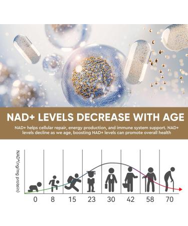 Phyzen NAD+ Supplement 500mg with Resveratrol Premium Formula Supports Cellular Health DNA Repair Energy Boost & Anti-Aging High Absorption 120 Vegan Capsules 0A - Buy Online on GoSupps.com