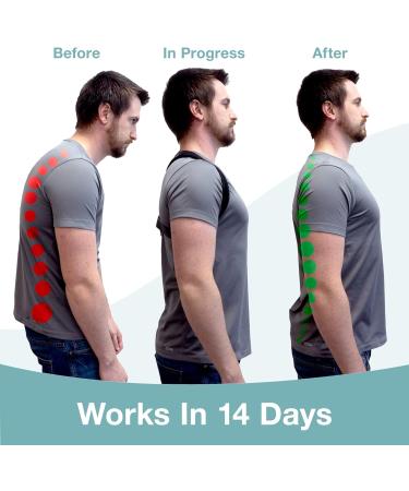 The Restored Back Posture Corrector for Men and Women - Adjustable Posture Brace with Trademarked PostureFIX Y Design - Upper Back Shoulder and Posture Support for a Straight Back 1 Count (Pack of 1) - Buy Online on GoSupps.com