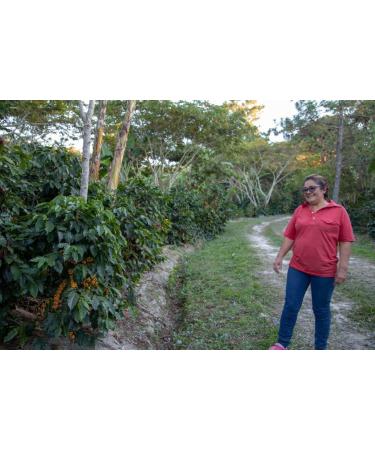 Mini Granja Dilma Honduras Specialty Coffee Beans - Buy Online on GoSupps.com