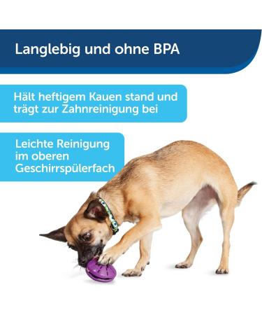 PetSafe Twist-n-Treat Dog Toy | Fillable Treat Toy | Customizable Dispensing & Dishwasher Safe | Purple L - Shop Now for International Shipping! - Buy Online on GoSupps.com