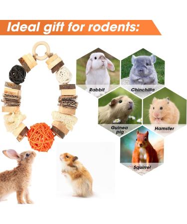 Abiz Rabbit Toys & Halloween Kaubelle Natur: Natural Wood Accessories for Rabbits Guinea Pigs Chinchillas Dwarf Rabbits and Hamsters Ideal Tooth Care Solutions - Buy Online on GoSupps.com