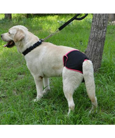 Buy Oyccen 2pcs Reusable Dog Diapers for Female Dogs | Protective Pants & Sanitary Underwear | Eco-friendly Pet Products - Buy Online on GoSupps.com