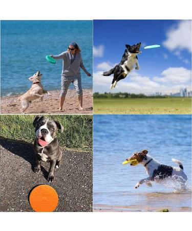 Ouoqi Dog Toys Frisbee - 2 Piece Rubber Frisbee Disc for Small Dogs | Perfect for Land & Water Play Training & Catching - Buy Online on GoSupps.com