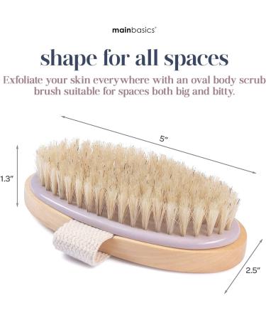 MainBasics Dry Body Brush - Exfoliating Body Scrubber with Natural Bristles for Smooth Skin, Improved Blood Circulation, Cellulite Treatment, and Lymphatic Drainage - Buy Online on GoSupps.com