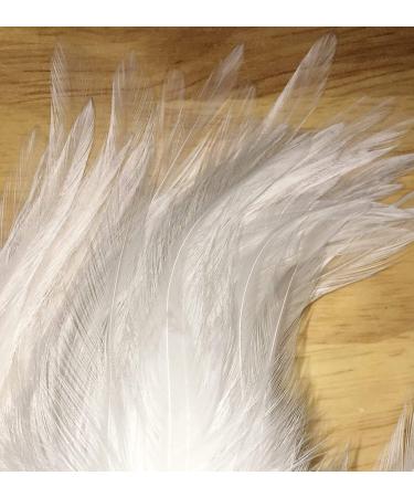 Creative Angler Saddle Hackle Fly Tying Kit - Natural Rooster Feathers for Crafts and Wet Flies - Steelhead Colored Feathers Combo Pack - Buy Online on GoSupps.com