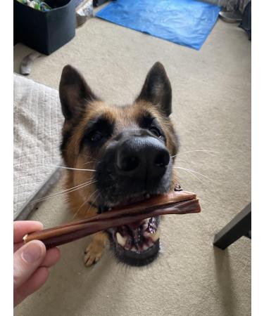 Bully Bunches All Natural 6 Inch Beef Jerky Sticks Soft and Crunchy Gullet Chews - Odour Free Rawhide Free Chemical Free Safe Healthy and Nutritious Dog Treats for Light Chewers 20 Pk 6 Inch 1 count (Pack of 1) - Buy Online on GoSupps.com