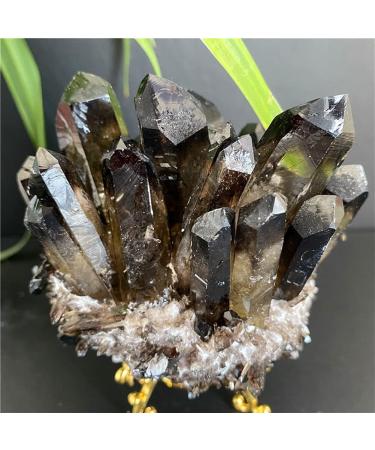 Collection Citrine Phantom Quartz Crystal Cluster Point Healing Specimen Collection Home Feng Shui Decor (Color : Citrine Size : 430g) 430g Citrine - Buy Online on GoSupps.com