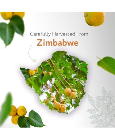 Organic Marula Oil 4oz - 100% Pure & USDA Certified for Face, Hair, Body - Cruelty-Free Formula for Lips, Nails - HBNO - Buy Online on GoSupps.com