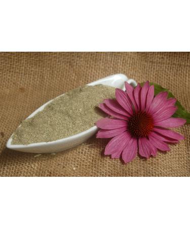 Naturix24 Naturix24 Coneflower ground purple swirl - 100g bag