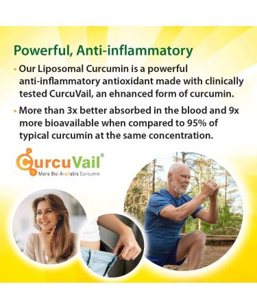 Aurora Nutrascience Mega-Liposomal Curcumin+ 600 mg - Organic Fruit Flavor - 16 fl oz - Buy Online on GoSupps.com