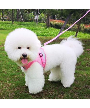 Femax Dog Harness & Linen Set - Soft Mesh Padded Reflective Adjustable for Walking & Training - XL (Chest 47-52 cm) - Pink - Perfect for Dogs & Cats - Buy Online on GoSupps.com