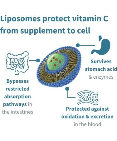 High Absorption Liposomal Vitamin C 1000mg & Zinc Bisglycinate Liquid Immune Support | Sugar-Free Citrus Vanilla Flavour | Adults & Kids | Igennus - Buy Online on GoSupps.com