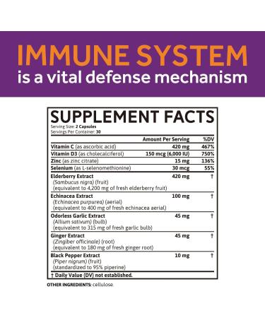Whollium Immune Support Capsules - Elderberry with Vitamin C, D3, Zinc, Selenium, Echinacea, Garlic, Ginger & Black Pepper for Antioxidant Boost - 60 Vegetarian Caps - Buy Online on GoSupps.com