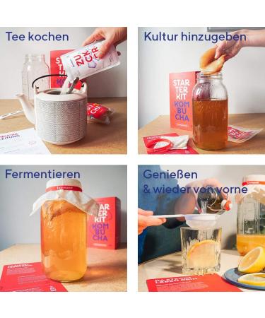 Buy Premium Fairy Kombucha Tea Mushroom | Organic SCOBY for 1-5L | Success Guarantee & Instructions - Buy Online on GoSupps.com