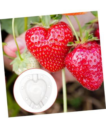 Mipcase 15 Pcs Fruit Shaping Mold Vegerables Forming Tool Cucumber Shaping Tool White Garden Tools Modeling 4.5x4cmx3pcs Whitex3pcs - Buy Online on GoSupps.com